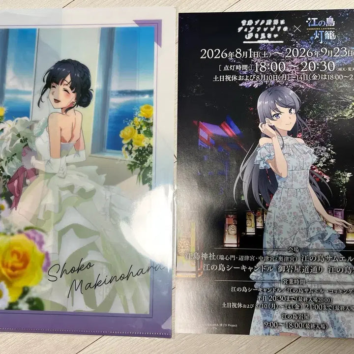 [BUNJANG] Seishun Buta Yarou Makise Shoko Memorial Clear File / 청춘돼지 메모리얼 비주얼 마키노하라 쇼코 클리어 파일