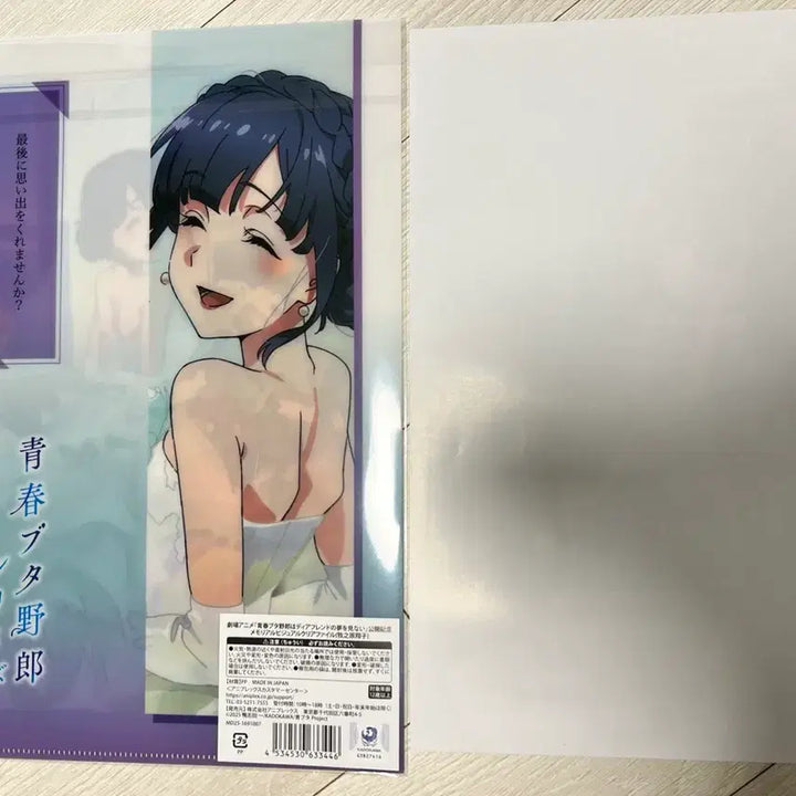 [BUNJANG] Seishun Buta Yarou Makise Shoko Memorial Clear File / 청춘돼지 메모리얼 비주얼 마키노하라 쇼코 클리어 파일