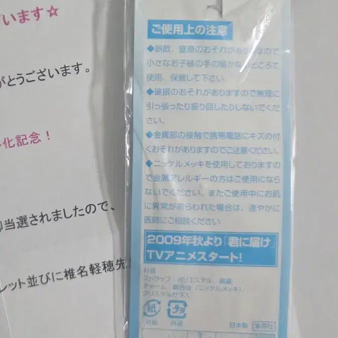 [BUNJANG] Kimi ni Todoke Sawako Strap Keychain / 너에게 닿기를 고전 사와코 스트랩 키링