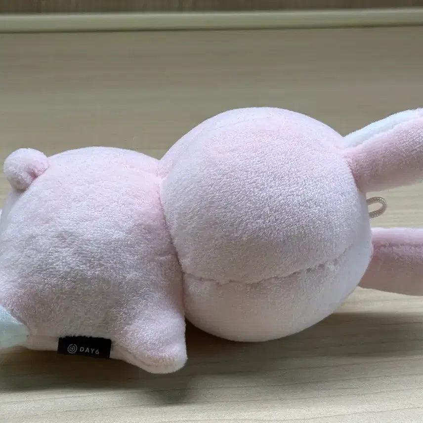 [BUNJANG] DAY6 Wonpil Plush Doll / 데이식스 원필인형