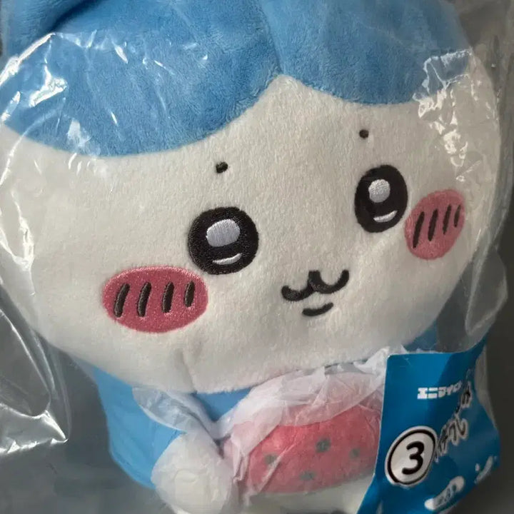 [BUNJANG] Chiikawa Ichiban Kuji Hachiware Plush Doll / 치이카와 여름쿠지 하치와레 누이 애니마이 쿠지