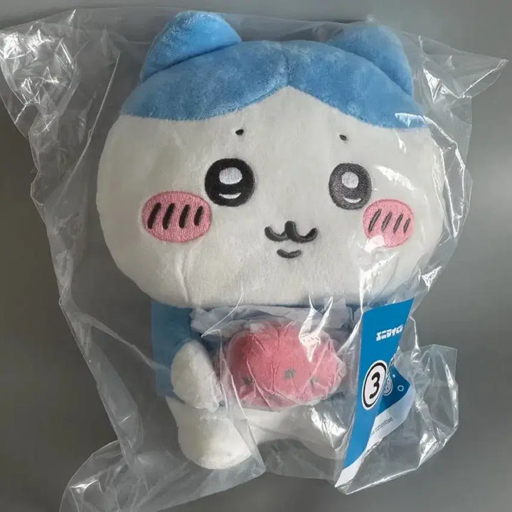 [BUNJANG] Chiikawa Ichiban Kuji Hachiware Plush Doll / 치이카와 여름쿠지 하치와레 누이 애니마이 쿠지