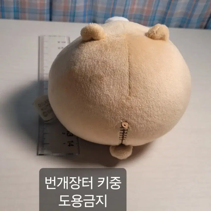 [BUNJANG] San-X Rilakkuma Pom Poko Series Plush Toy / 리락쿠마 폼포코 시리즈 인형 뚱뚱 돼지