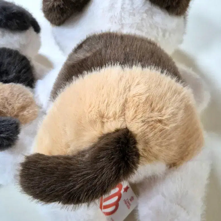 [BUNJANG] 30cm Calico Cat Plush Toy / 부들부들 고양이 인형 삼색이 30cm