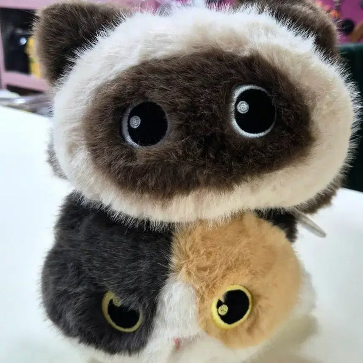 [BUNJANG] Fluffy Cat Plush Toy Set (2 pcs) - New / 고양이 인형 털 복슬복슬 귀여운 인형2개 세트 새상품