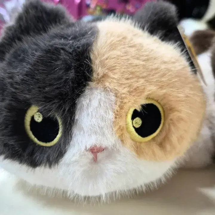 [BUNJANG] Fluffy Cat Plush Toy Set (2 pcs) - New / 고양이 인형 털 복슬복슬 귀여운 인형2개 세트 새상품