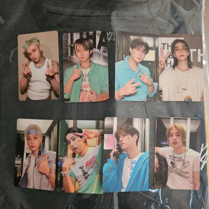 [BUNJANG] Stray Kids This &amp; That Popup T-Shirt &amp; Photocard Set / 스트레이키즈 this &amp; that 디스 앤댓 팝업 티셔츠 포토카드 세트