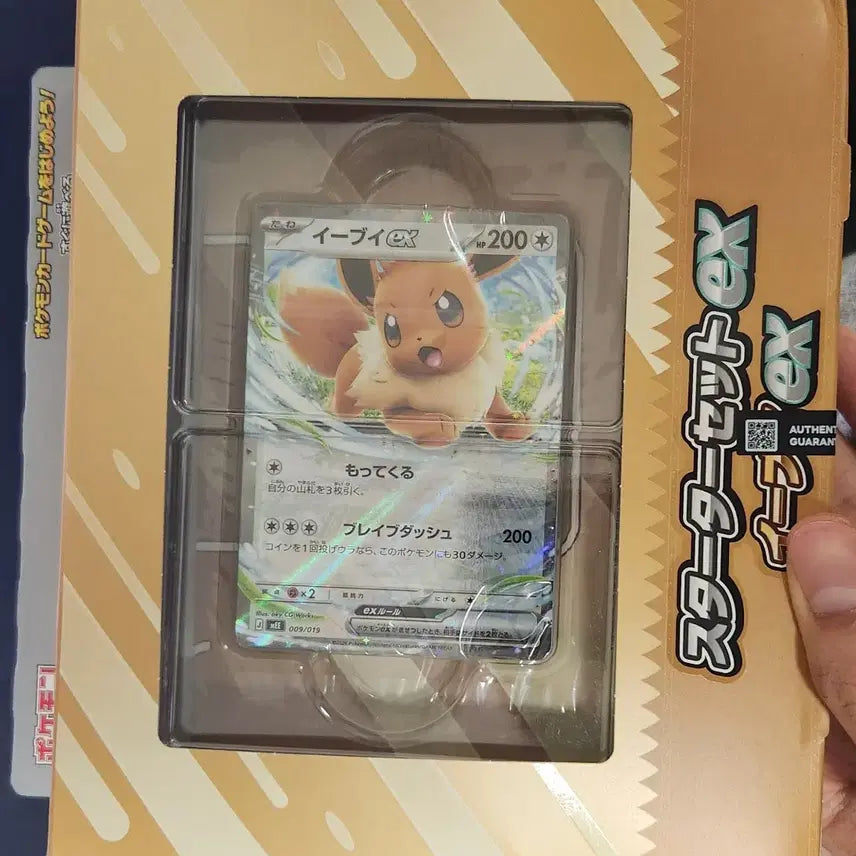 [BUNJANG] Pokemon Eevee Starter Deck / 포켓몬 카드 이브이 스타터덱