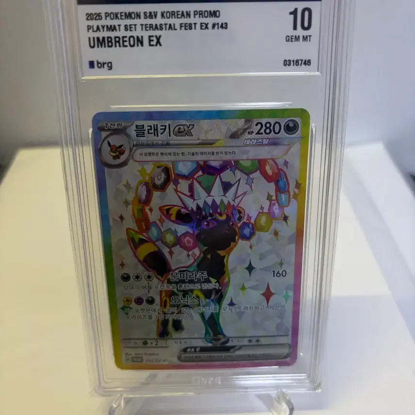 [BUNJANG] Terrastal Festa Promo Blace Brg 10 / 테라스탈 페스타 프로모 블래키 brg 10 판매합니다