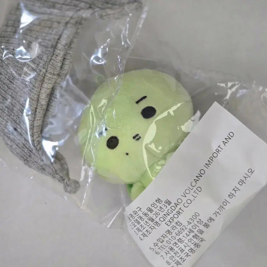 [BUNJANG] Cortis Juhun Dubuk Turtle Doll / 코르티스 인형 주훈 듀북이 거북이 인형 cortis