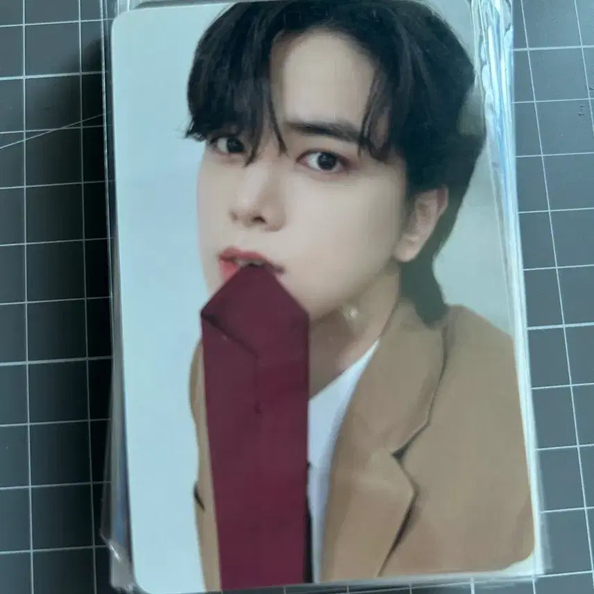 [BUNJANG] The Boyz Younghoon Bundle Set Photocard / 더보이즈 영훈 포카 일괄 양도