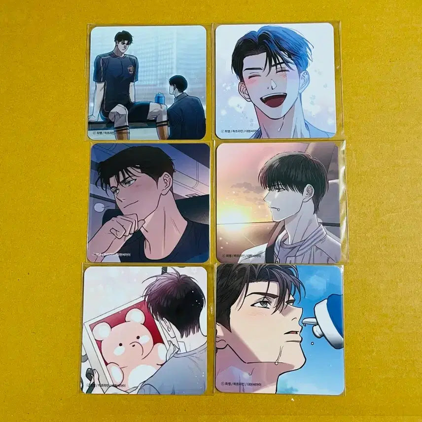 [BUNJANG] B.ON Half-line Coaster Set (6 Types) / 비온 하프라인 코스터 6종