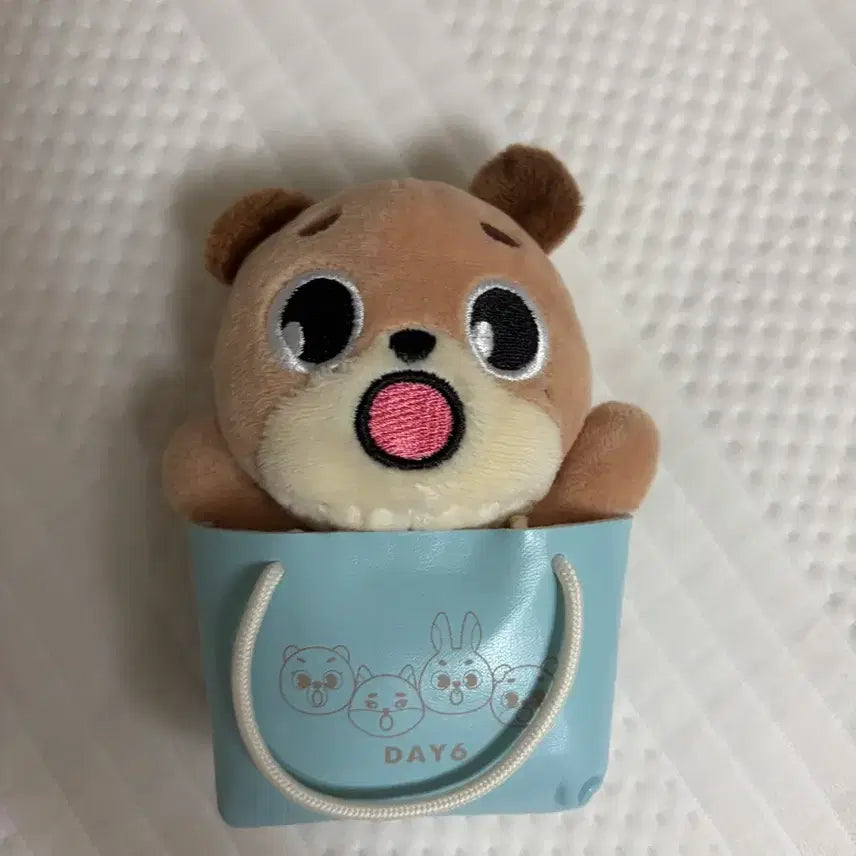[BUNJANG] Day6 The D-Day Japan MD Doll / 데이식스 일본 엠디 돈