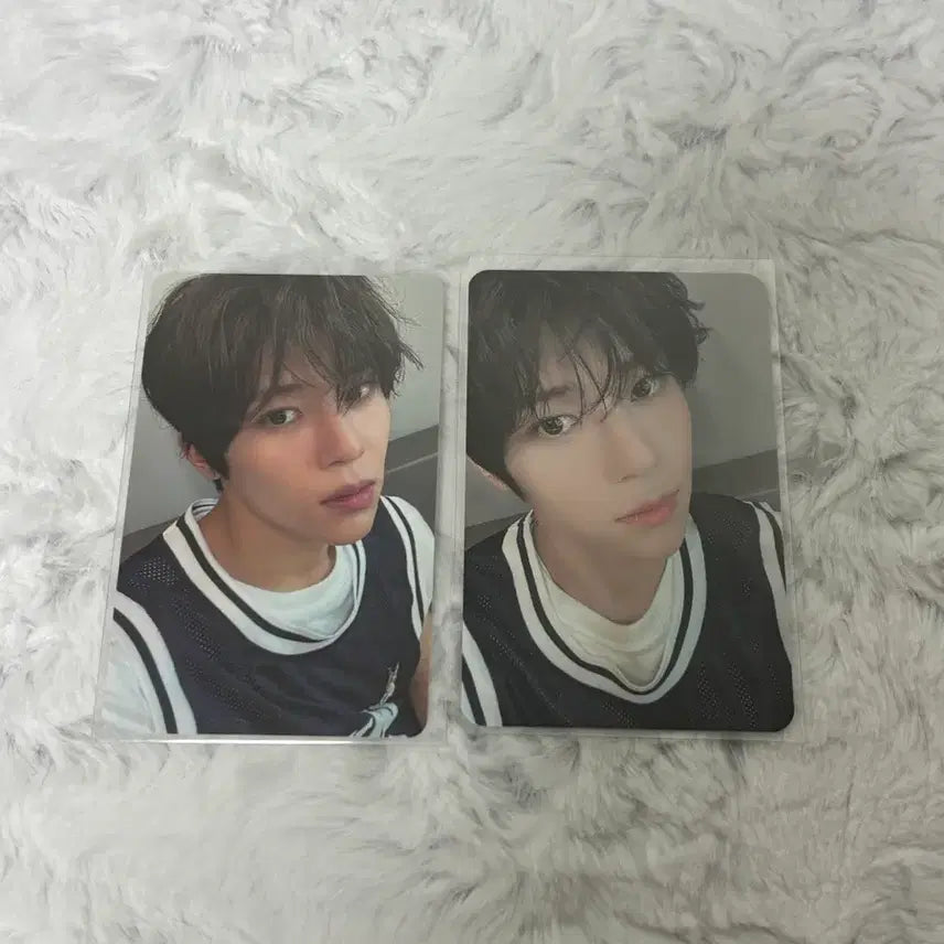 [BUNJANG] NCT WISH Sion Songbird KMS Dima-Mew POB Photocard / (수수로 포함) 엔시티 위시 송버드 kms 디마뮤특전 시온