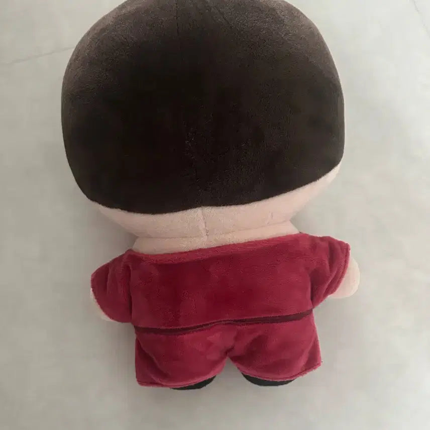 [BUNJANG] Park Bo Gum Kkwan-shik Doll / 관식이 박보검 인형