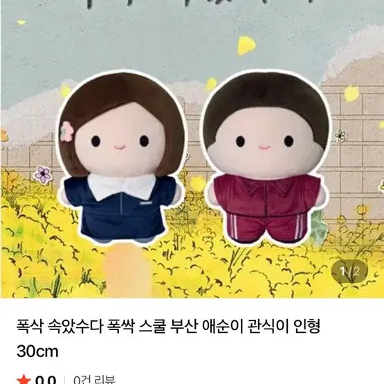 [BUNJANG] Park Bo Gum Kkwan-shik Doll / 관식이 박보검 인형
