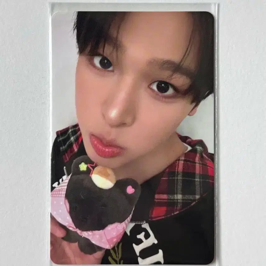 [BUNJANG] NCT WISH Wishni Ni Kuri Ni Ni Large Hug Cushion Lico Photocard / 엔시티위시 위시니니 쿠리니니 대형 허그 쿠션 리쿠 포카