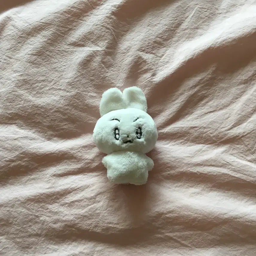 [BUNJANG] Babooth Malangbin Plush / 뽀바투 말랑빈 팔아요