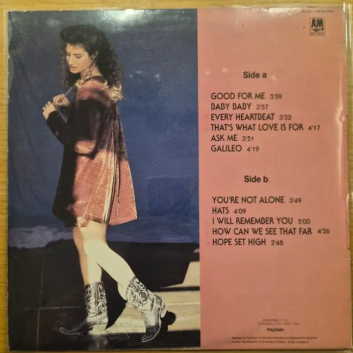 [BUNJANG] Amy Grant LP Record / 에이미 그랜트 lp