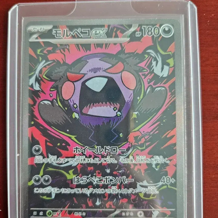 [BUNJANG] Pokemon Card Morpeko SAR / [일판] 포켓몬카드 모르페코 sar