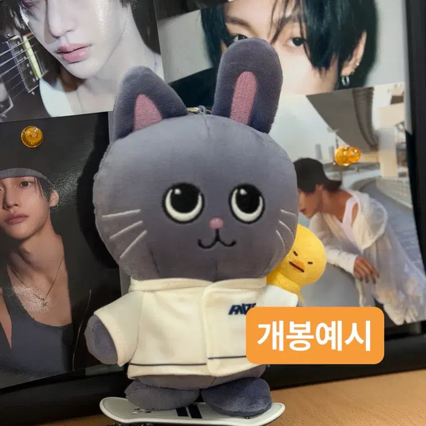 [BUNJANG] RIIZE Shanghai Pop-Up Skateboard Doll Keychain / 현물)라이즈 상하이 팝업 스케이트보드 인형 키링 토냥덕