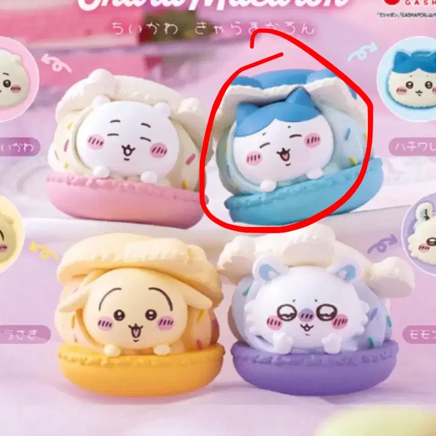 [BUNJANG] Cheekawaii Macaron Gacha Hachiware / 치이카와 마카롱 가챠(하치와레)