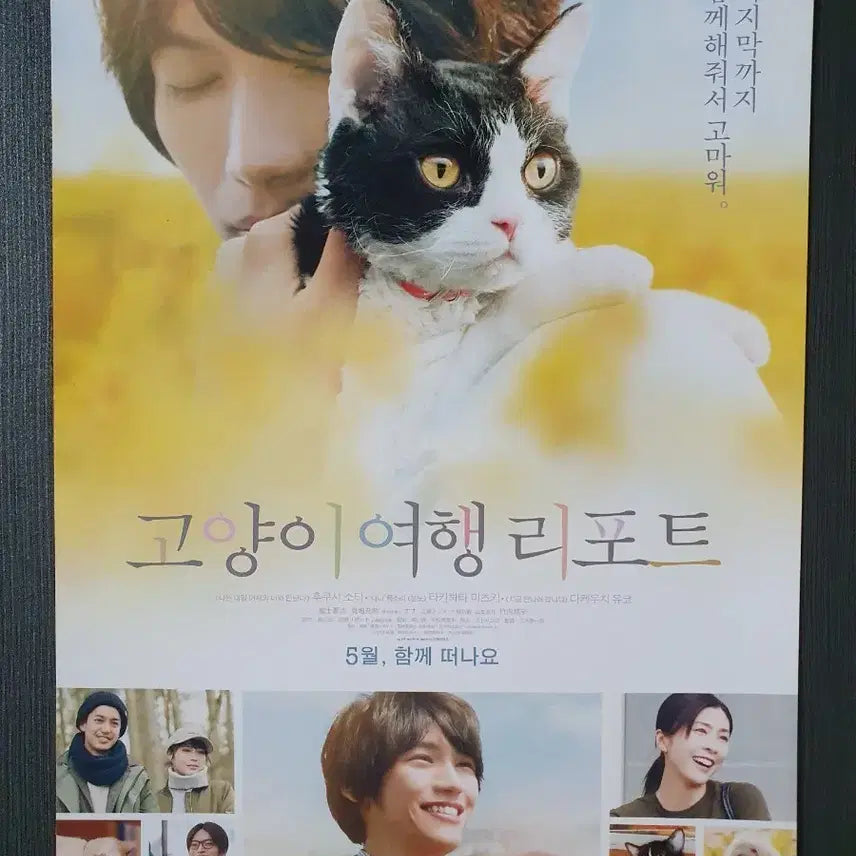 [BUNJANG] The Travels of the Cat Japanese Movie Leaflet A4 - Sota Fukushi, Yuko Takeuchi / 고양이 여행 리포트 일본 영화 전단지 A4 후쿠시 소타 다케우치 유코