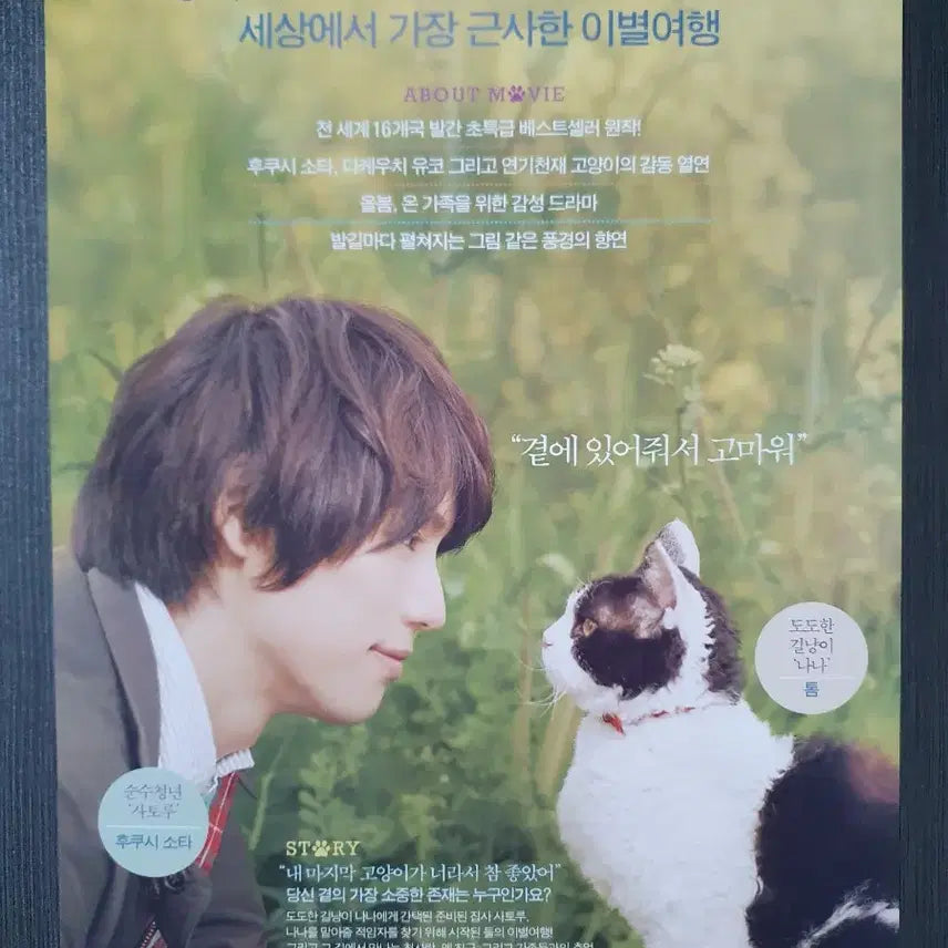 [BUNJANG] The Travels of the Cat Japanese Movie Leaflet A4 - Sota Fukushi, Yuko Takeuchi / 고양이 여행 리포트 일본 영화 전단지 A4 후쿠시 소타 다케우치 유코