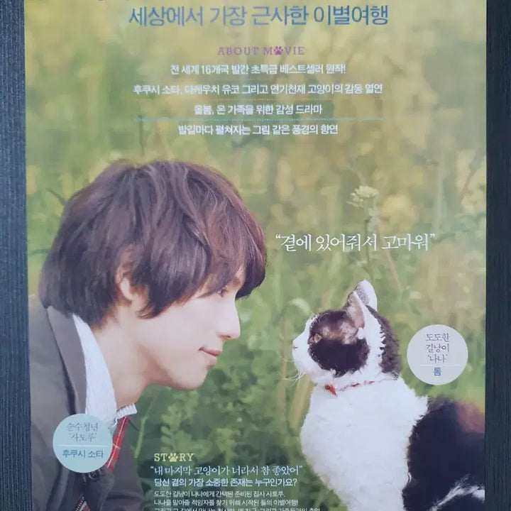 [BUNJANG] The Travels of the Cat Japanese Movie Leaflet A4 - Sota Fukushi, Yuko Takeuchi / 고양이 여행 리포트 일본 영화 전단지 A4 후쿠시 소타 다케우치 유코