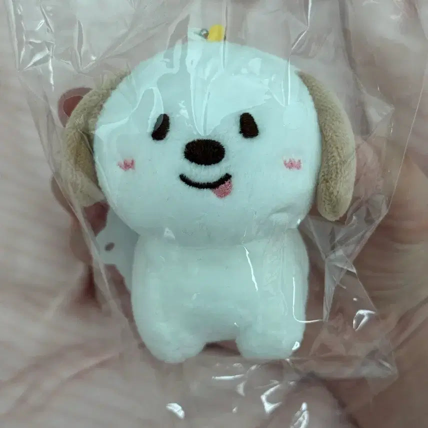 [BUNJANG] RIIZE "Meongryong" 1st Gen Keyring / RIIZE/라이즈 멍룡이 1기 키링
