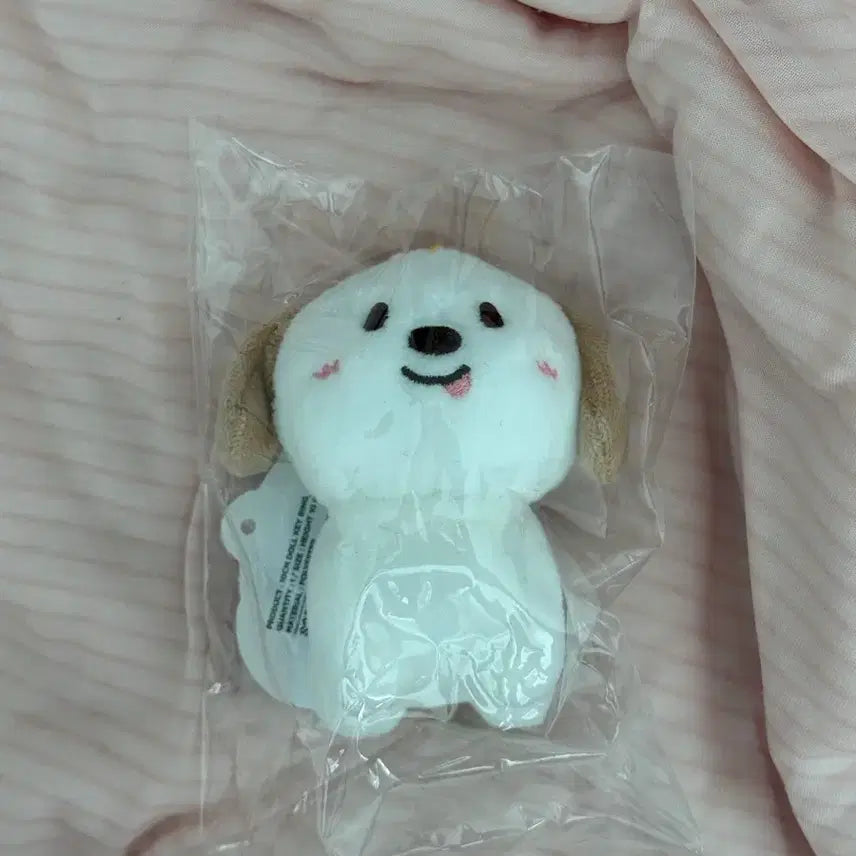 [BUNJANG] RIIZE "Meongryong" 1st Gen Keyring / RIIZE/라이즈 멍룡이 1기 키링