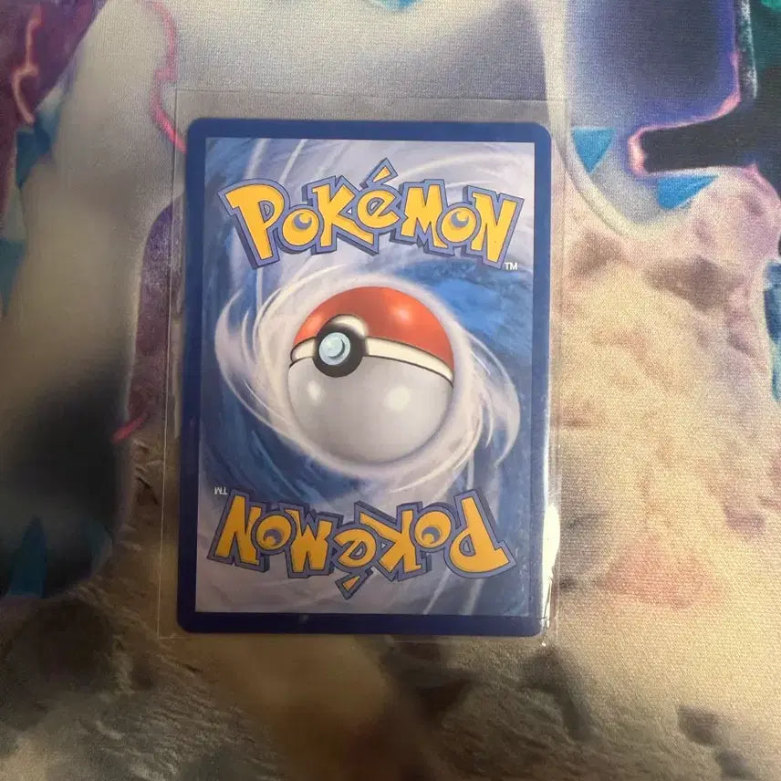[BUNJANG] Pokemon Card Black Kyurem EX SR / 포켓몬카드 블렉큐레무ex sr