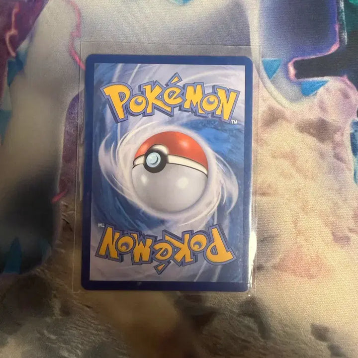 [BUNJANG] Pokemon Card Black Kyurem EX SR / 포켓몬카드 블렉큐레무ex sr