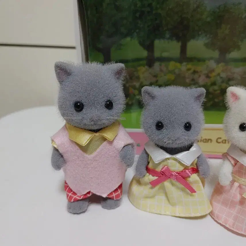 [BUNJANG] Sylvanian Families Persian Cat Family Set / 실바니안 페르시안고양이 가족