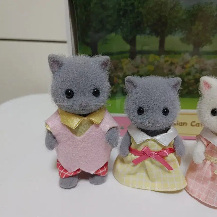 [BUNJANG] Sylvanian Families Persian Cat Family Set / 실바니안 페르시안고양이 가족