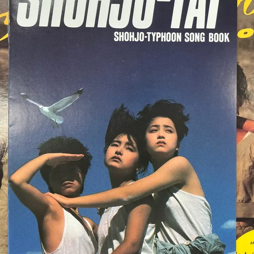 [BUNJANG] Shohjo-Typhoon Shohjo-Typhoon LP / 소녀대 / Shohjo-Typhoon 엘피
