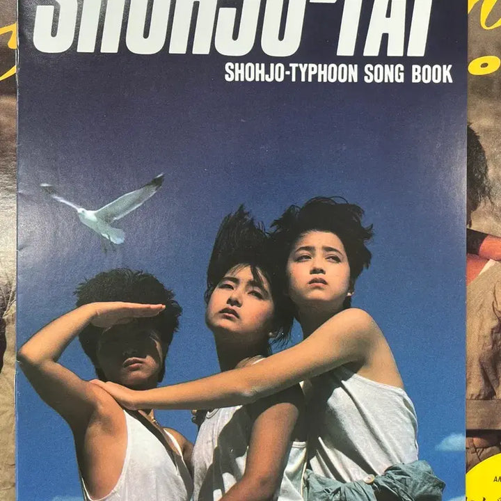 [BUNJANG] Shohjo-Typhoon Shohjo-Typhoon LP / 소녀대 / Shohjo-Typhoon 엘피