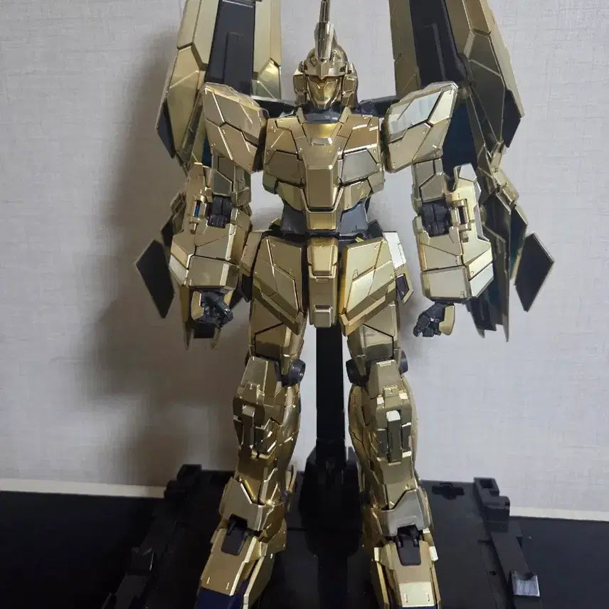 [BUNJANG] Daban PG Phenex Model Kit / 다반 pg 페넥스