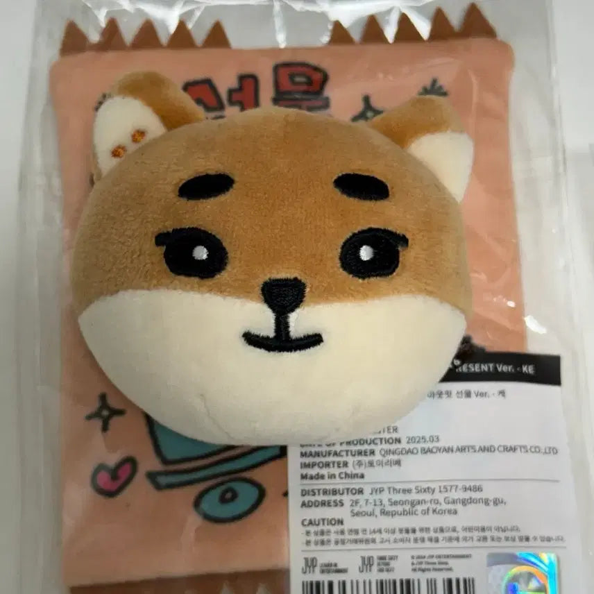 [BUNJANG] Day6 Young K Merchandise Bundle Set / 케둥이 영케이 굿즈 만두포카 일괄