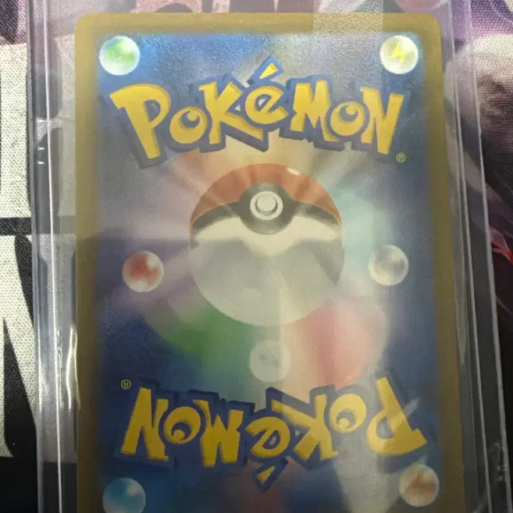 [BUNJANG] Pokemon Card Mega Zeraora EX SR Japanese / 포켓몬카드 메가 제라오라 EX sr 일판