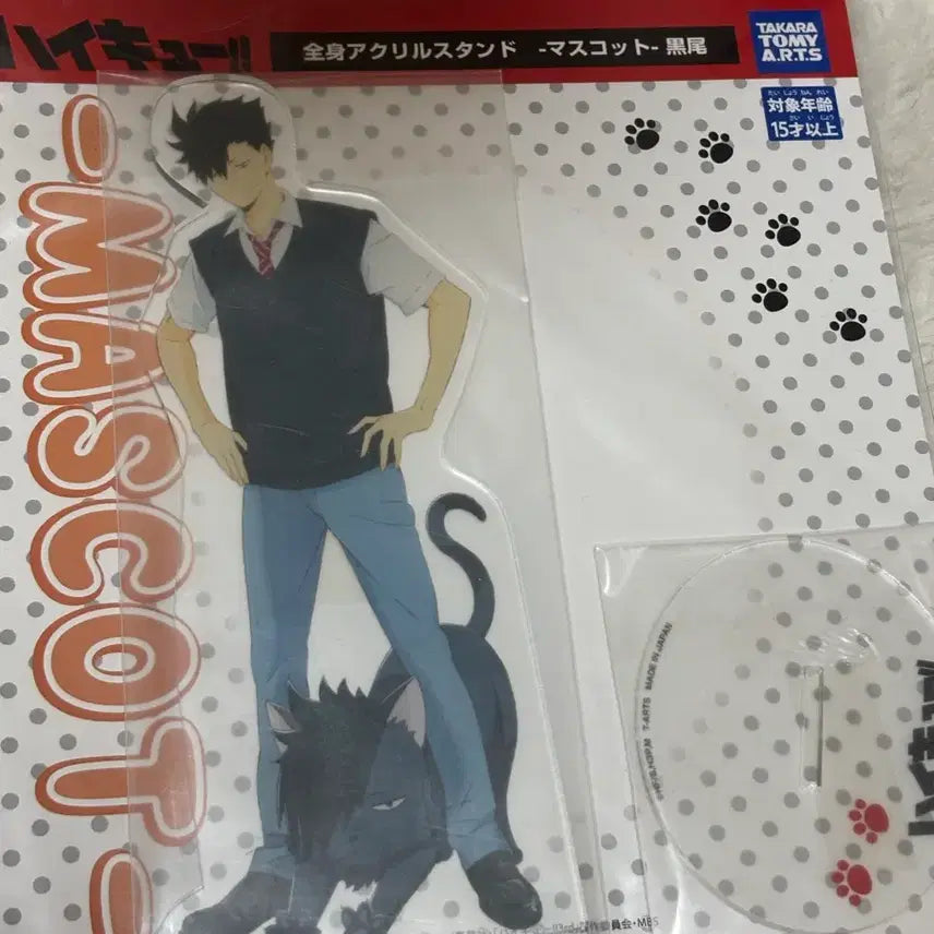 [BUNJANG] Haikyuu!! Tetsuro Kuroo Acrylic Stand / 쿠로오 테츠로 하이큐 아크릴 준비중 마스코트