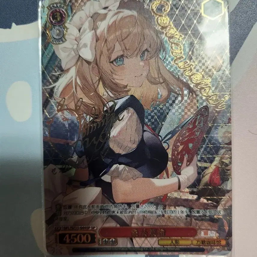 [BUNJANG] Weiss Schwarz Girls&