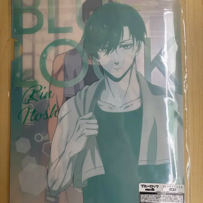 [BUNJANG] Blue Lock Rin Itoshi File / 블루록 이토시 린 파일