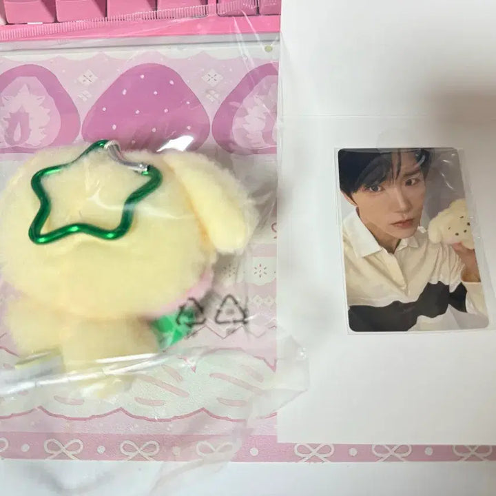 [BUNJANG] WISHNINI Dangtree Dangtreever Doll Keychain (Sealed) / 위시니니 인형키링 댕트리니 댕트리버 미개봉