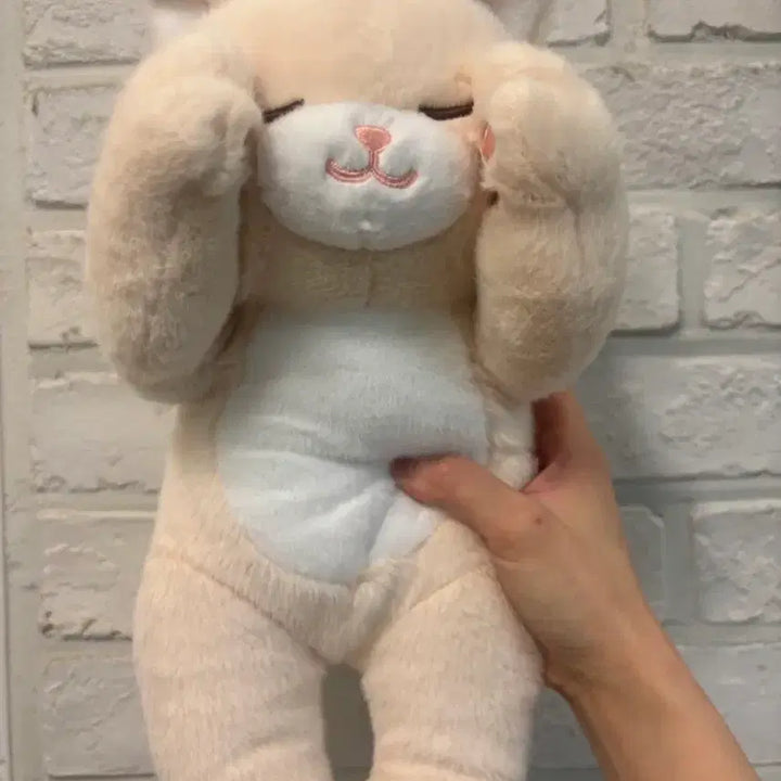 [BUNJANG] Cute Cat Plush Doll - Medium Size, Butter Color / 부끄럽냥 고양이 인형 버터색상(새상품)
