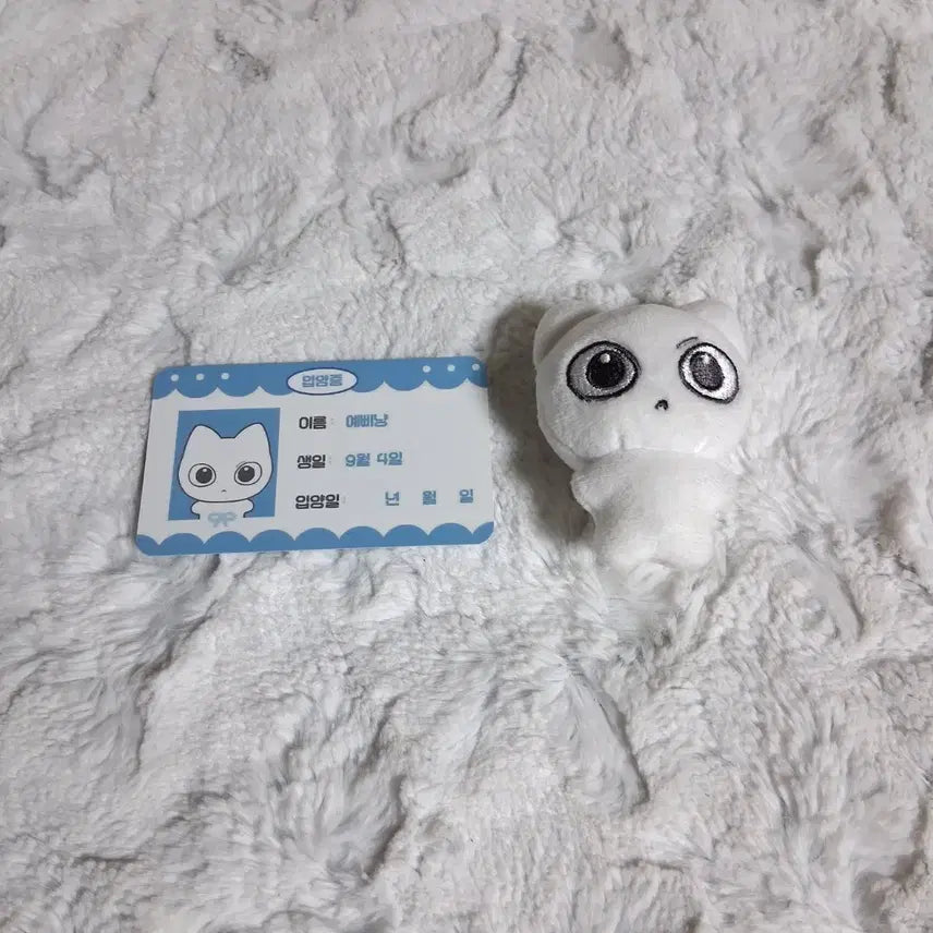 [BUNJANG] BOYNEXTDOOR Sung-ho Yeppinyan 2.0 Doll / 보이넥스트도어 보넥도 성호 인형 예삐냥 양도