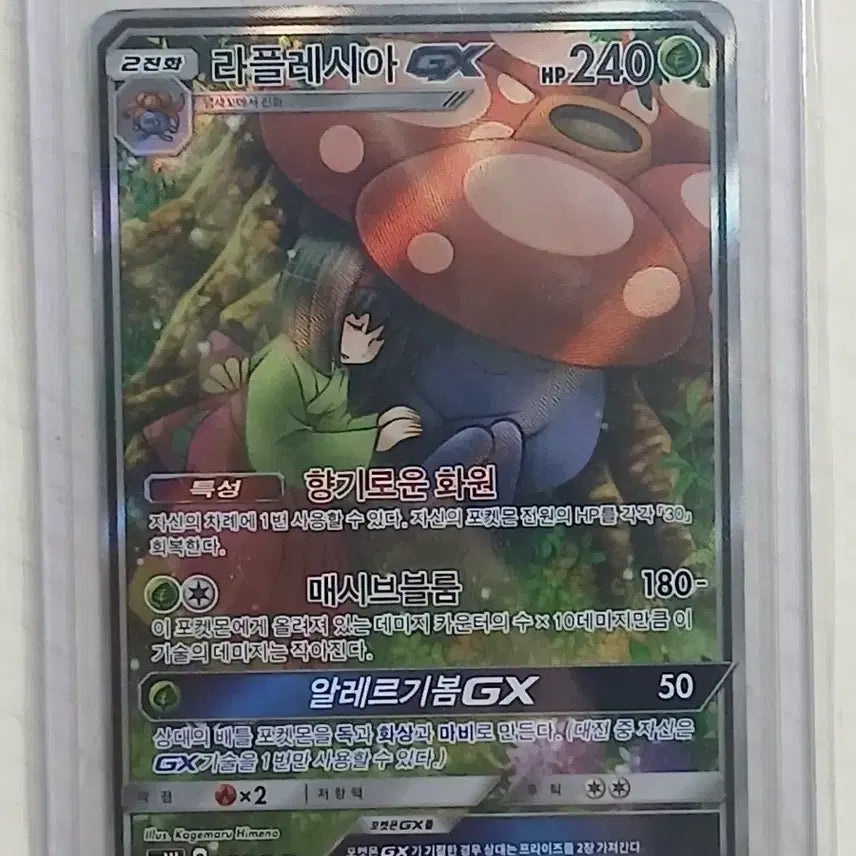 [BUNJANG] Pokemon Card Rafflesia GX / [급처]포켓몬카드 라플레시아gx 특일