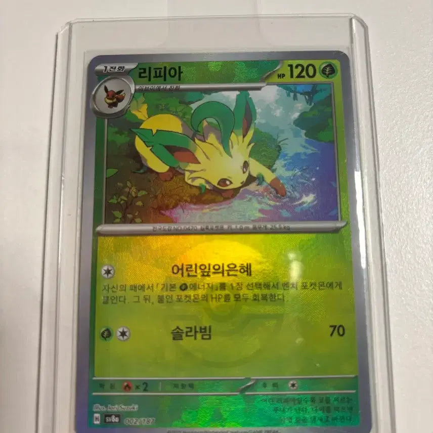 [BUNJANG] Lippia Monball Card / 리피아 몬볼카드