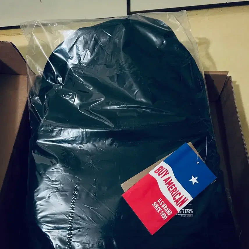 [BUNJANG] Park Hyo Shin STPD Backpack (Sealed) / [미개봉] 박효신 STPD 백팩