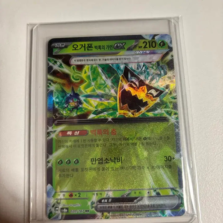 [BUNJANG] Ogerpon RR Pokemon Card / 오거폰rr